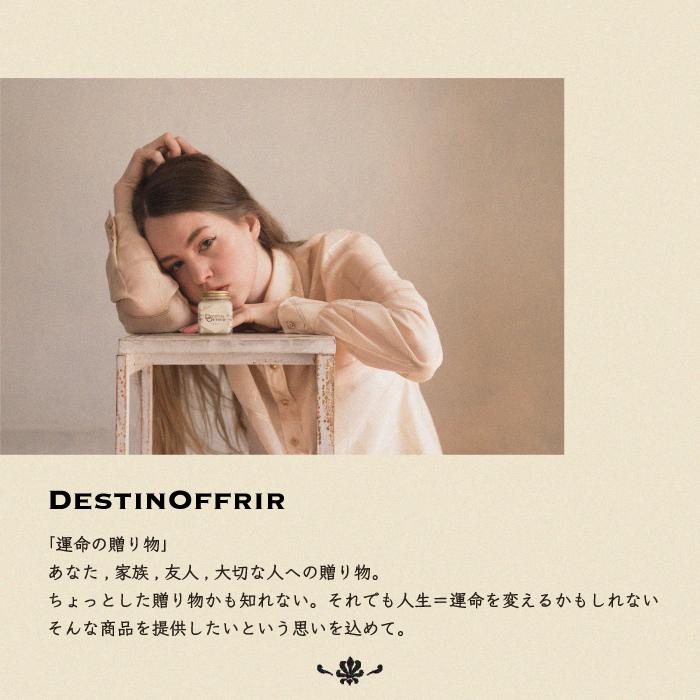 DestinOffrir ヘアバーム 70g サボンの香り